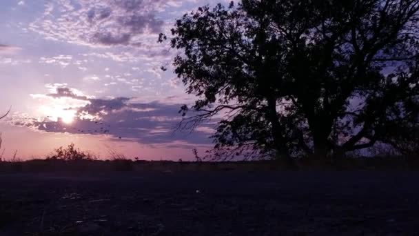 背景に鳥が飛んで日没時に湖のダムにトヨタカムリ — ストック動画