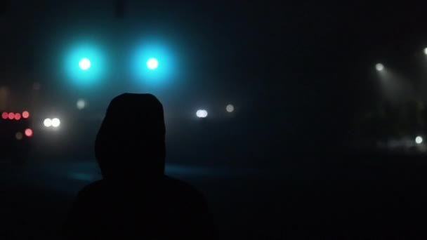 夜に道路脇に立つ者 — ストック動画