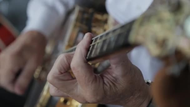 Muž Hrající Banjo Jazzovém Festivalu Sea Jazz Zeelandu2012 Soustřeď Hraní — Stock video