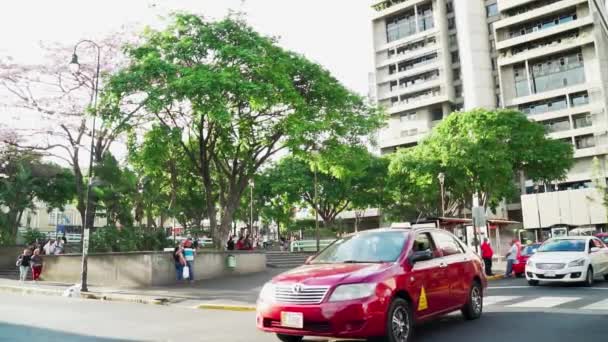 コスタリカのサンノゼの繁華街での車の減速 — ストック動画