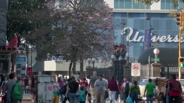 Persone Che Camminano Strade Della Città San Jose — Video Stock