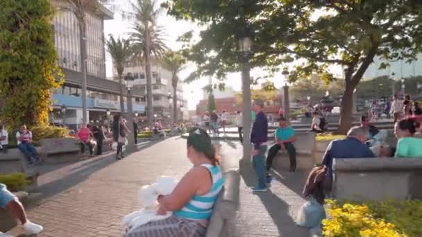 People Relaxing Walking Park San Jose Downtown — Stock Video