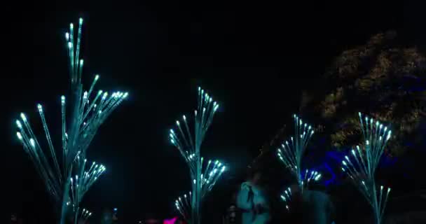 Vivid Sydney 2018 Light Festival Nautilus Forest Mid Shot — Αρχείο Βίντεο