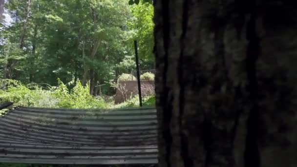 Hamacul Din Spate Vedere Grădina Liniștită Din Curte — Videoclip de stoc