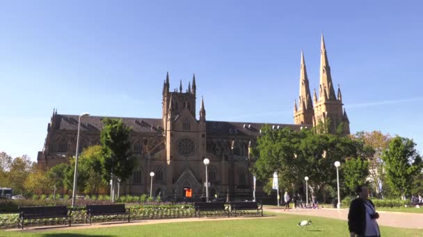 Weitwinkelaufnahme Der Mary Cathedral Der Innenstadt Von Sydney Australien — Stockvideo