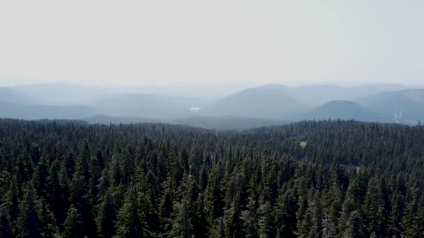 Felvétel Portland Felett Vagy Lövés Mount Hood Felett Dji Mavic — Stock videók