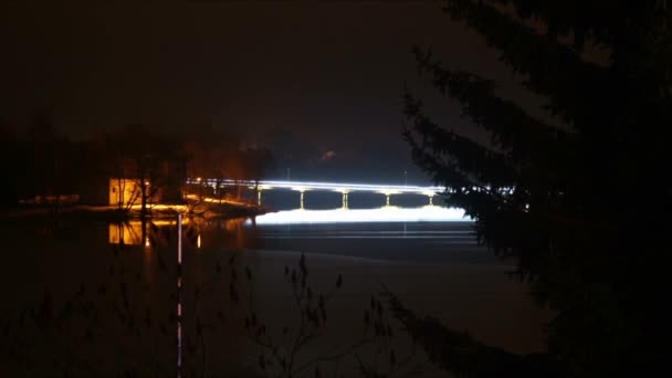 Bright Garlands Traffic Bridge Night Time Lapse — Stock Video