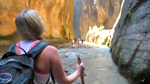 犹他州锡安国家公园狭长地带的女徒步旅行者 — 图库视频影像