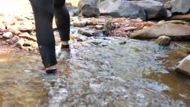 Female Hiking Upstream Subway Trail Zion National Park Utah — ストック動画