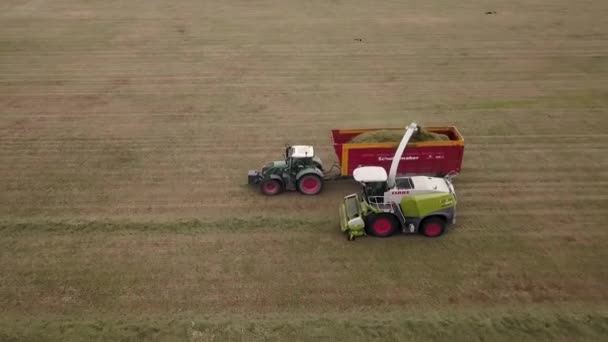 Drohnenaufnahmen Eines Erntewagens Und Eines Transportfahrzeugs Ein Überflug Mit Vögeln — Stockvideo