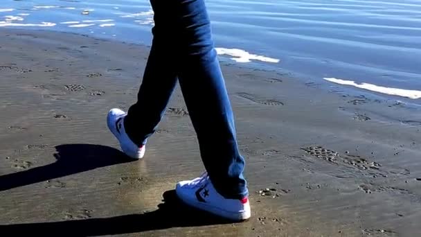 Camminare Una Spiaggia Vicino — Video Stock