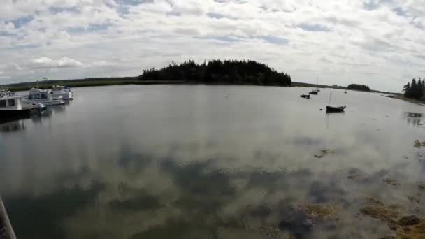 Landschaftlich Reizvolle Aussicht Auf Einen Schönen Ruhigen Fluss — Stockvideo