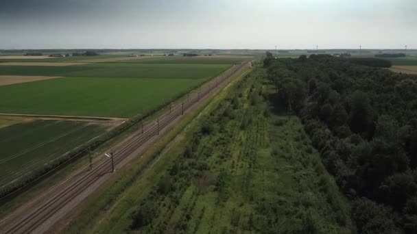 Spoorweg Het Platteland Uitzicht Overdag — Stockvideo