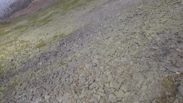瑞士Aletsch冰川的启示 — 图库视频影像