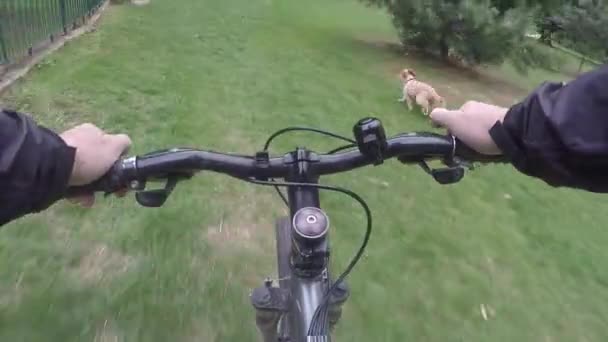 Gopro Pov自転車犬と公園でスピードアップ — ストック動画