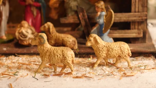 Schafsfiguren Vor Einer Alten Weihnachtskrippe Oder Krippe — Stockvideo