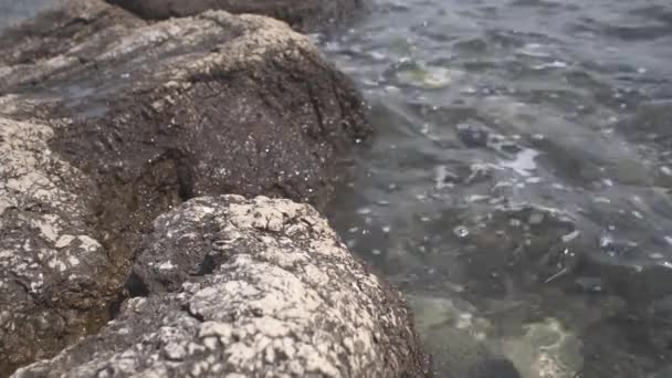 Las Olas Del Mar Salpicando Sobre Las Rocas Cámara Lenta — Vídeos de Stock