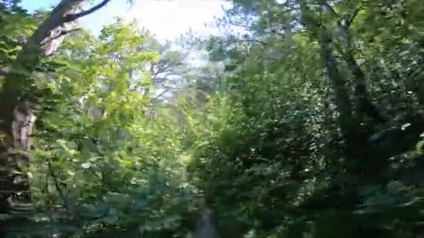 Disparo Aéreo Sobre Pólder Holandés Cerca Arnhem — Vídeos de Stock