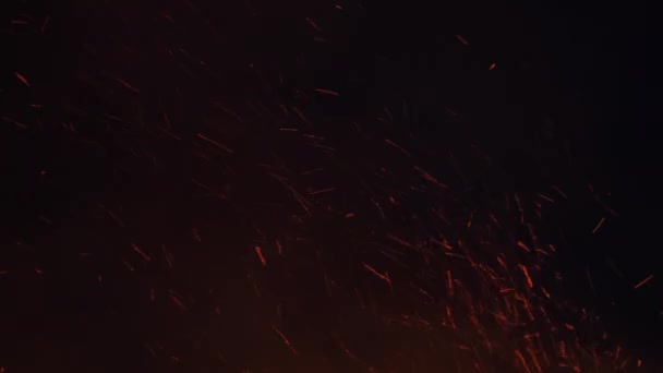 从篝火中飞散的火花 — 图库视频影像