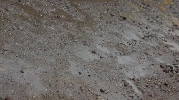 粉岭路上的雨滴 — 图库视频影像