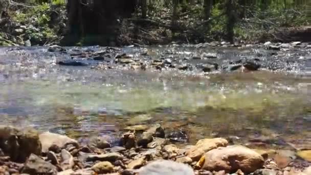 Cepat Bergerak Sungai Pada Hari Yang Cerah Menutup — Stok Video