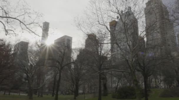 Panorama Central Park New Yok — Stock Video