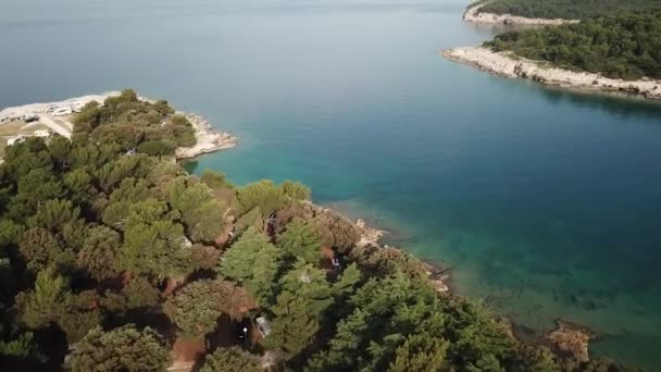 Drone Costiero Forestale Colpo Blu Oceano — Video Stock