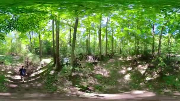 360 Clip Homem Maduro Andando Por Uma Floresta — Vídeo de Stock