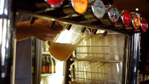 Una Foto Retroiluminada Una Jarra Cerveza Vertida Grifo — Vídeo de stock