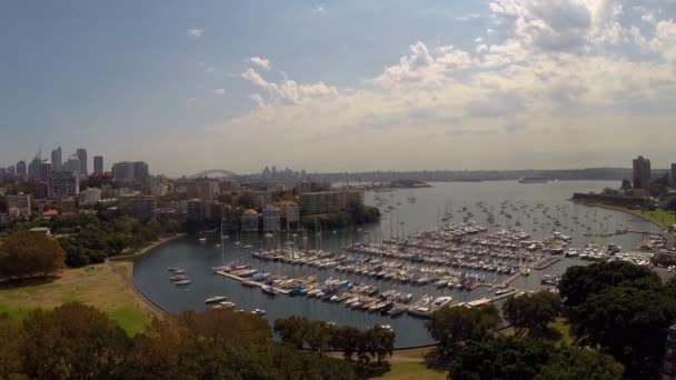 Drone Marina Rushcutters Bay Sydney Harbour — Stock Video