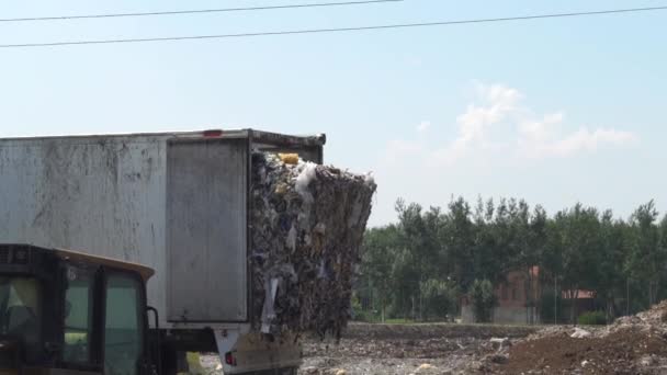 把垃圾倒入堆填区的卡车 — 图库视频影像