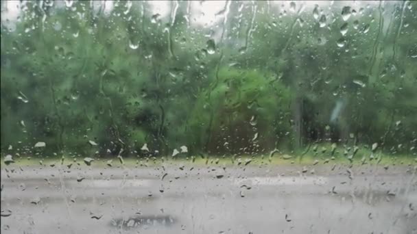 Arabanın Içinden Yağmurlu Bir Gün Görünüyor — Stok video