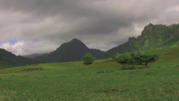 ハワイのグレーの雲がカウアロア山脈を越えて — ストック動画