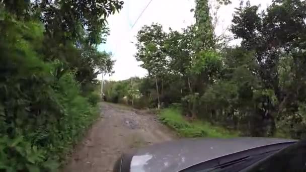 Körning Genom Naturen Colon Panama — Stockvideo