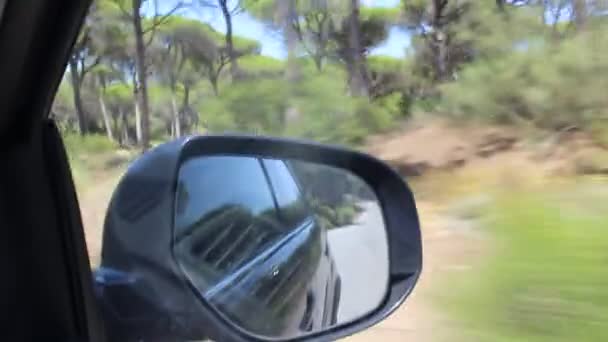 Vista Lateral Del Espejo Conduciendo Través Del Parque Nacional Doana — Vídeo de stock