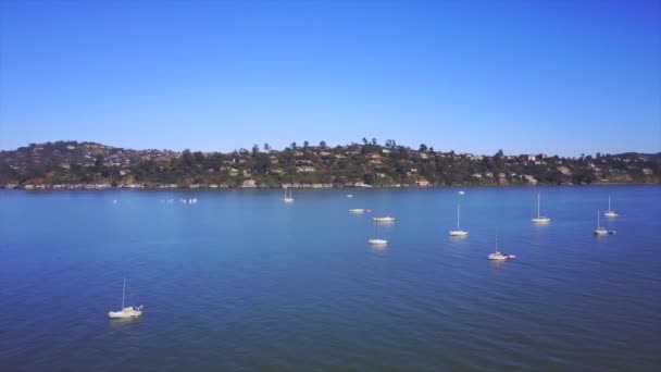 Filmación Aérea Hermosa Ciudad Sausalito Área Bahía San Francisco California — Vídeos de Stock