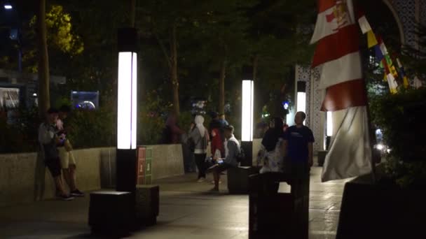 公园里灯火通明 有步行的行人和可爱的夫妇 市区行人晚上在公园里散步 — 图库视频影像