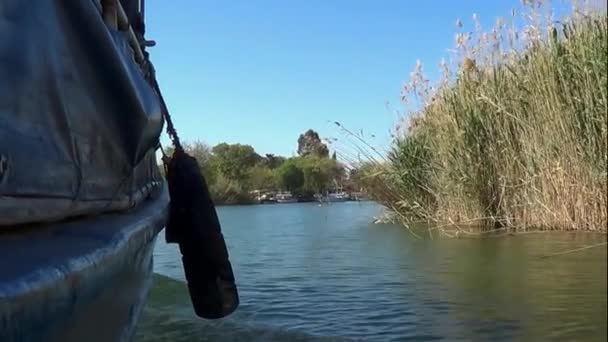Придивіться Захопливої Очерету Вздовж Річки Далянь Традиційного Турецького Річкового Човна — стокове відео