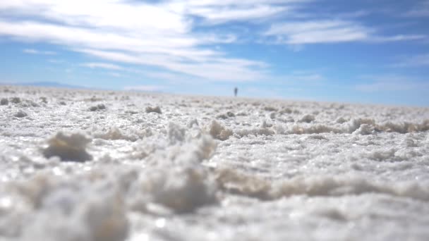 Avventuriero Che Corre Verso Macchina Fotografica Sui Laghi Salati Salar — Video Stock