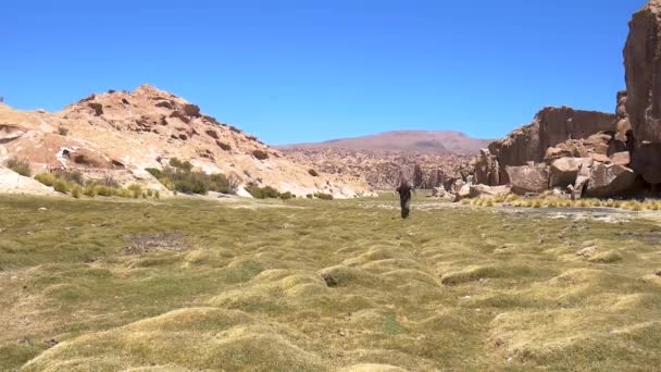 Aventurero Corriendo Hacia Cámara Paisaje Desértico Con Cañones Bolivia — Vídeos de Stock