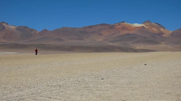 Een Toerist Die Ver Salvador Dali Woestijn Bolivia Loopt Naast — Stockvideo