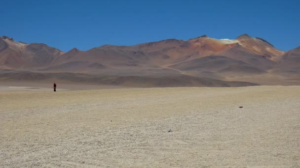 Турист Идущий Назад Камере Пустыне Сальвадор Дали Боливии Рядом Лагунами — стоковое видео