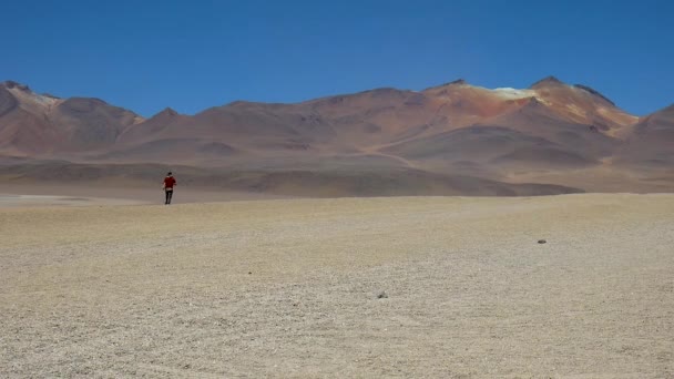 Viaggiatore Nel Deserto Della Bolivia Vicino Deserto Atacama Cile Scappando — Video Stock