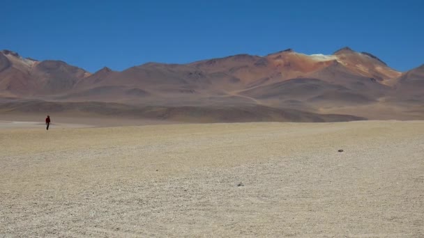 サラール ウユニへの旅行中にボリビアの砂漠を通ってツアーでカメラに遠くから戻って歩く旅行者 — ストック動画