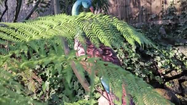 Pavo Real Falso Como Decoración Hermoso Jardín Verde Pavo Real — Vídeo de stock
