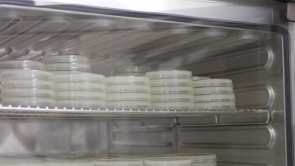 Araştırma Gıda Laboratuarı Yakın Plan — Stok video