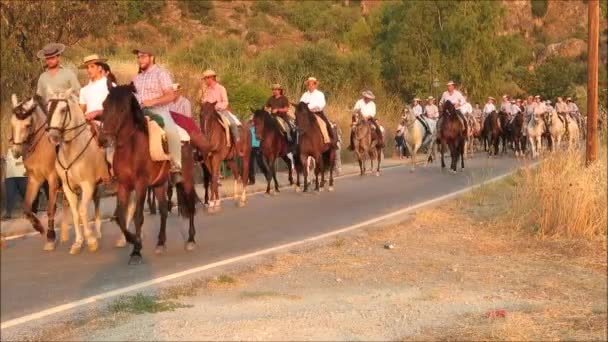 Alora Spain August 2018 Group Local Horsemen Forming Advanced Honor — Stock Video