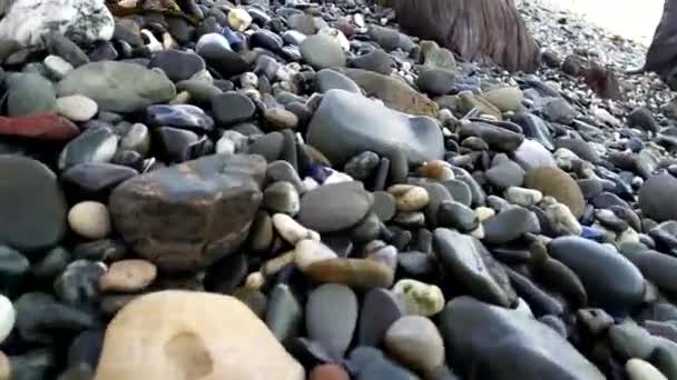 Promenade Long Une Plage Pierreuse Près Montagne Table Cap — Video