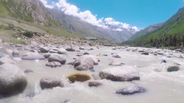 Bel Colpo Vicino Fiume Baspa Che Scorre Piedi Dell Himalaya — Video Stock