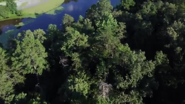Virginia Lake Drone Filmagem — Vídeo de Stock